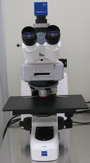 Picture of DIC microscope
